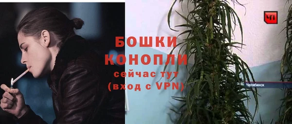ешки Аркадак