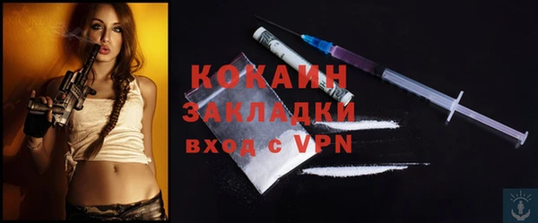 ешки Аркадак