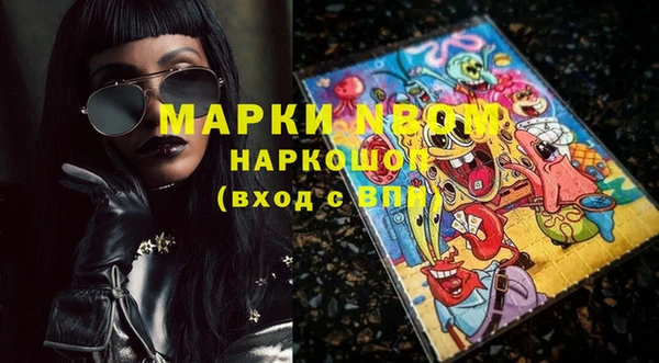 ешки Аркадак