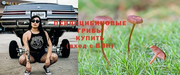 a pvp Армянск