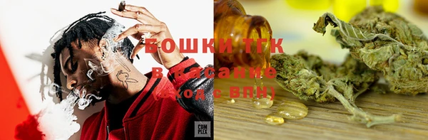 ешки Аркадак